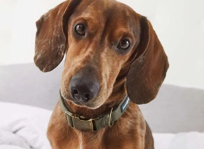 Innside By Melia Seestern 호텔 뒤셀도르프