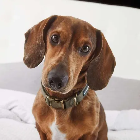 Innside By Meliá Seestern Szálloda Düsseldorf