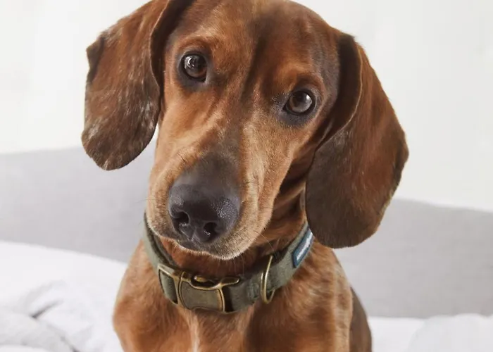 Innside By Meliá Seestern 4*